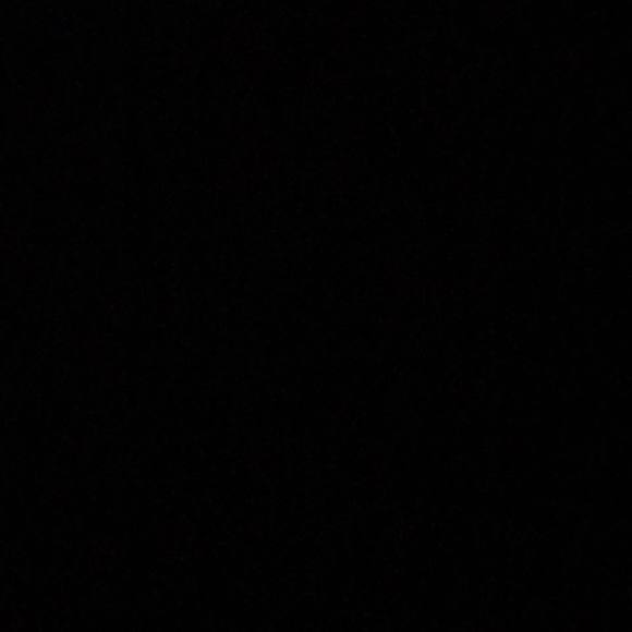 Meet your Posher, Josiah - Picture 1 of 1